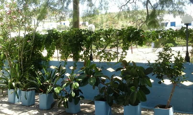 Pension Balos Koumeika Esterno foto